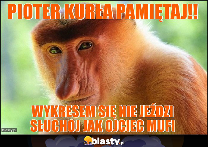 PIOTER KURŁA PAMIĘTAJ!!