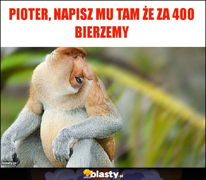 Pioter, napisz mu tam że za 400 bierzemy