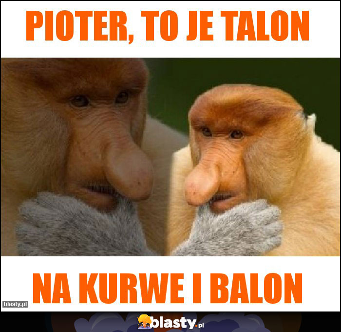 Pioter, to je talon