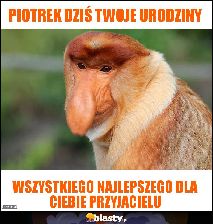 Piotrek dziś twoje urodziny