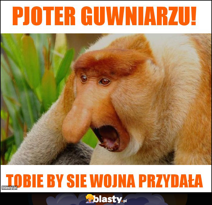 Pjoter guwniarzu!