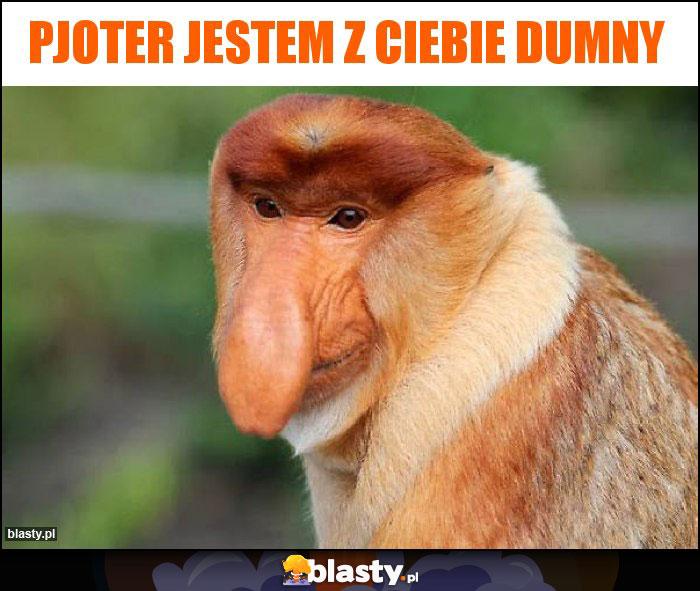 PJOTER JESTEM Z CIEBIE DUMNY