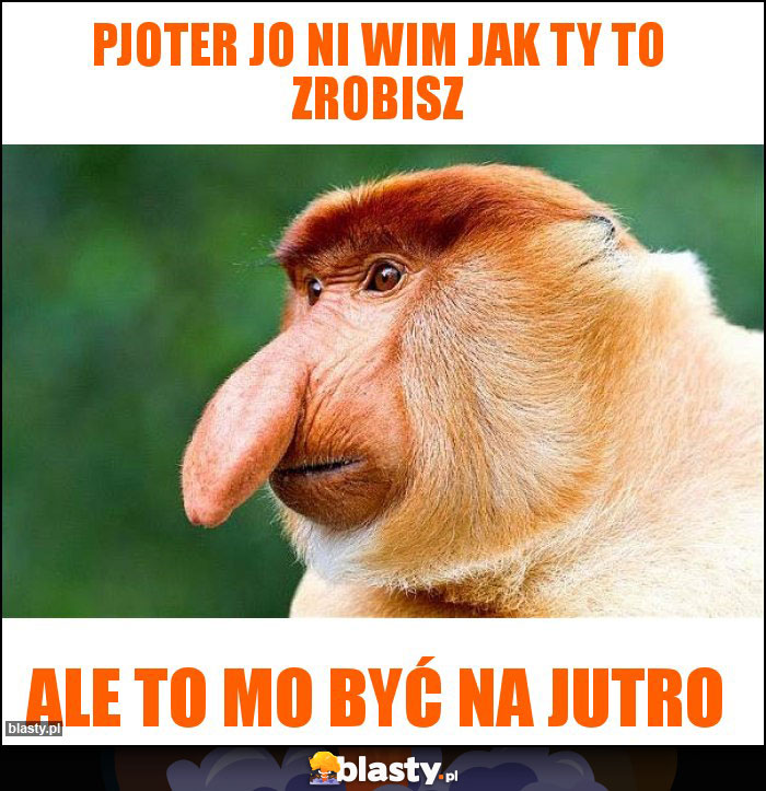 pjoter jo ni wim jak ty to zrobisz