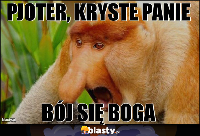 PJOTER, KRYSTE PANIE