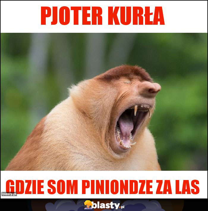 Pjoter Kurła