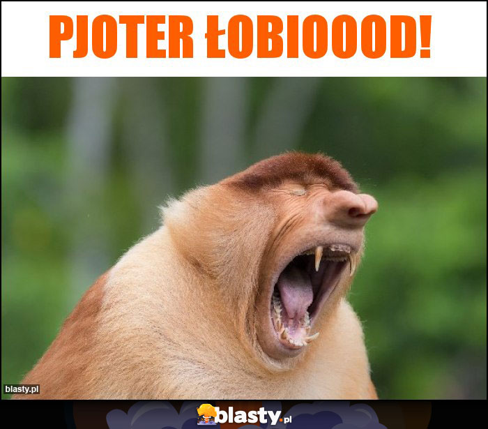 Pjoter łobioood!