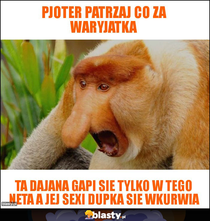 Pjoter patrzaj co za waryjatka