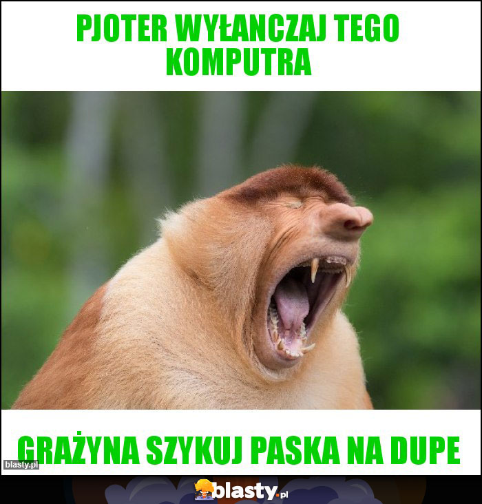 pjoter wyłanczaj tego komputra