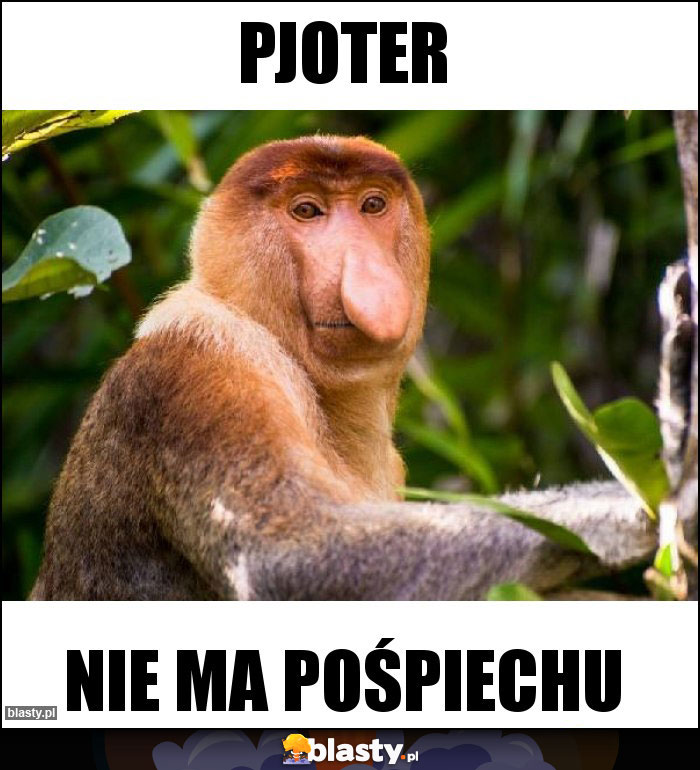 Pjoter