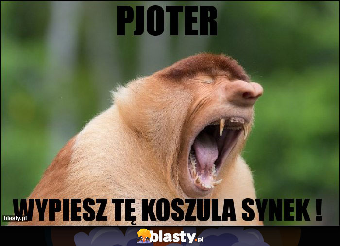 Pjoter