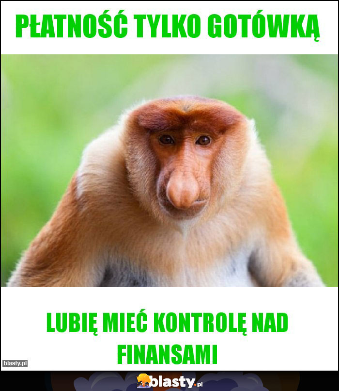 Płatność tylko gotówką