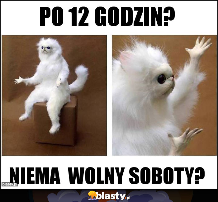 Po 12 godzin?