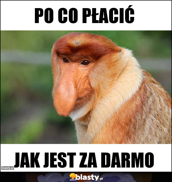 PO CO PŁACIĆ