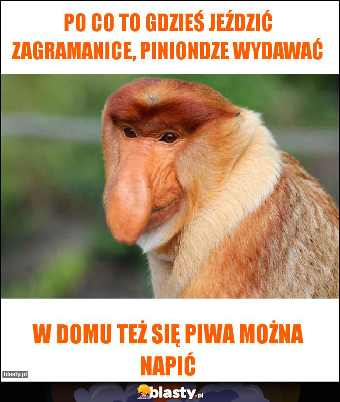 PO CO TO GDZIEŚ JEŹDZIĆ ZAGRAMANICE, PINIONDZE WYDAWAĆ