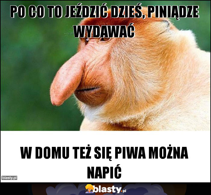 PO CO TO JEŹDZIĆ DZIEŚ, PINIĄDZE WYDAWAĆ