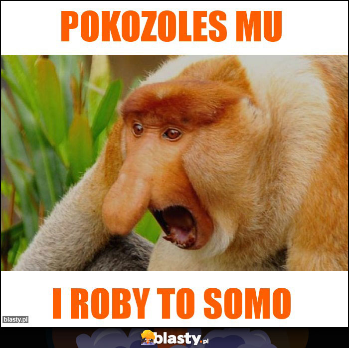 Pokozoles mu