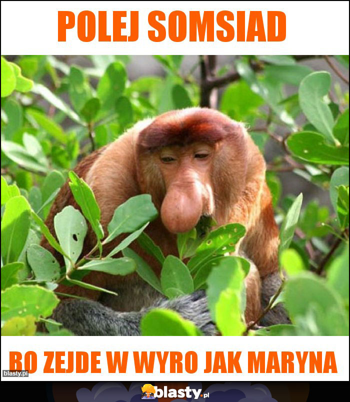 Polej somsiad