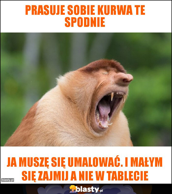 Prasuje sobie kurwa te spodnie