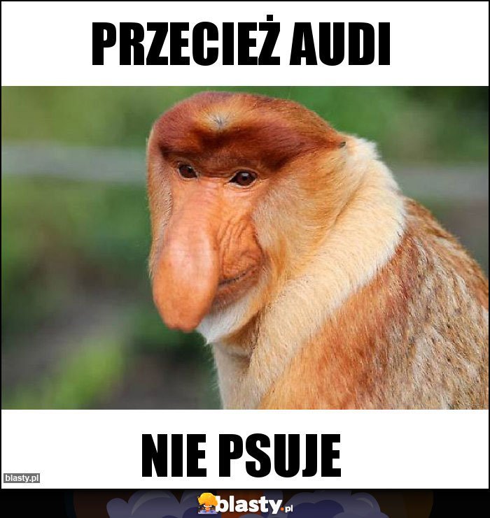 Przecież Audi