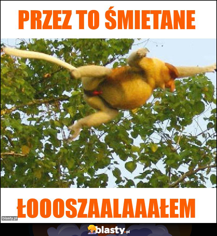 Przez to śmietane