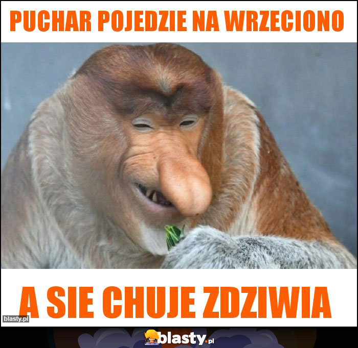 Puchar pojedzie na wrzeciono