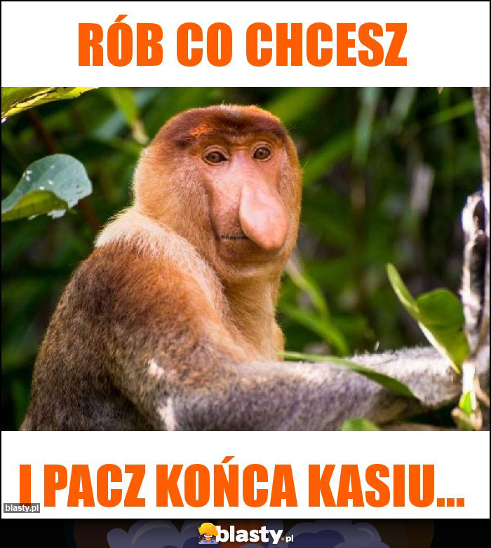 Rób co chcesz