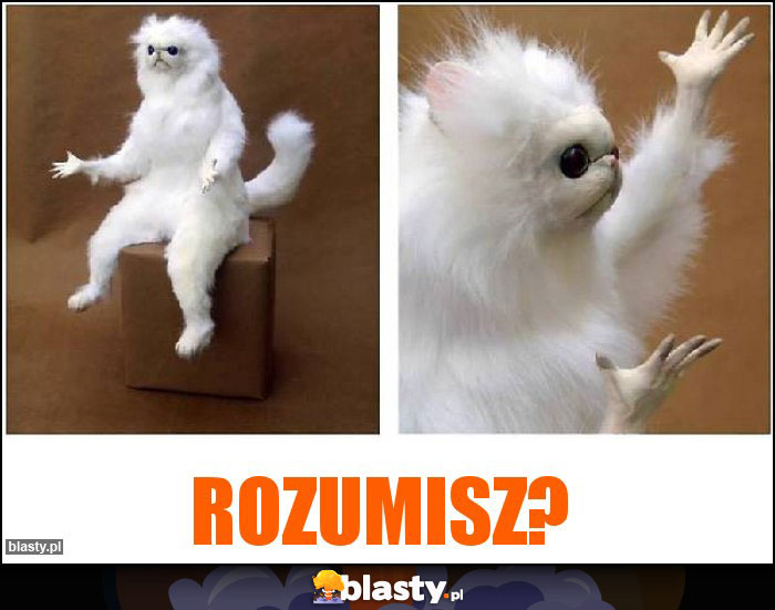 Rozumisz?