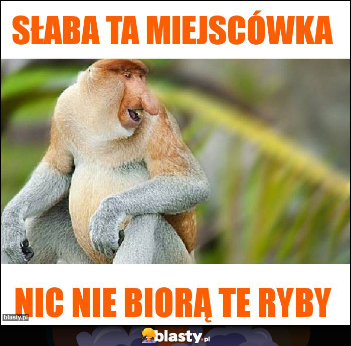 Słaba ta miejscówka