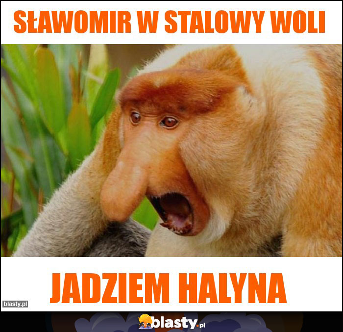 Sławomir w stalowy woli