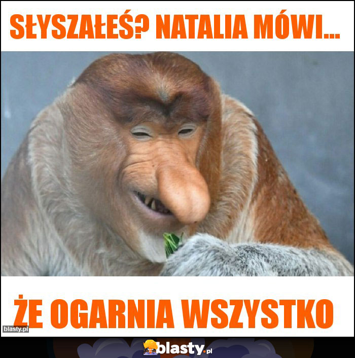 Słyszałeś? Natalia mówi...