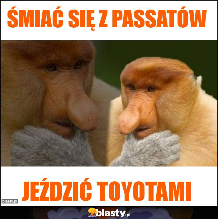 Śmiać się z passatów