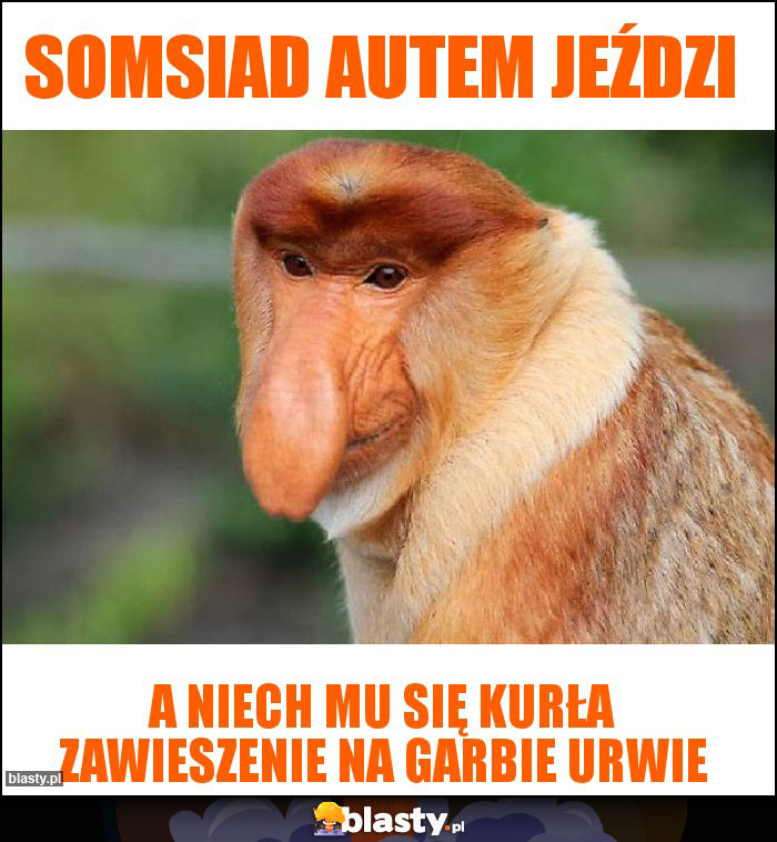 Somsiad autem jeździ