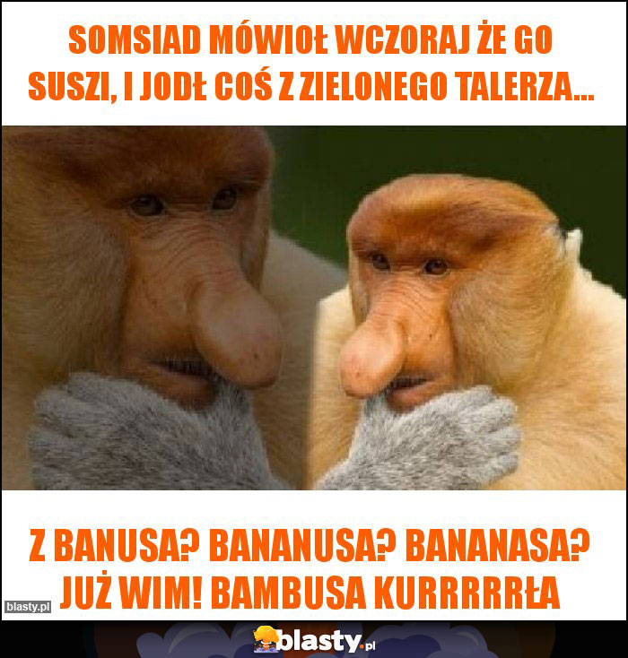 Somsiad mówioł wczoraj że go suszi, i jodł coś z zielonego talerza...