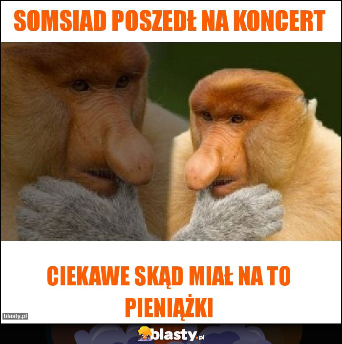 SOMSIAD POSZEDŁ NA KONCERT