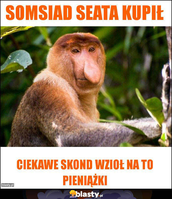 SOMSIAD SEATA KUPIŁ