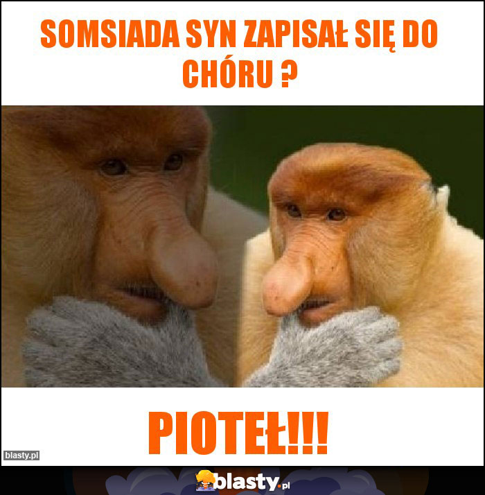 Somsiada syn zapisał się do chóru ?