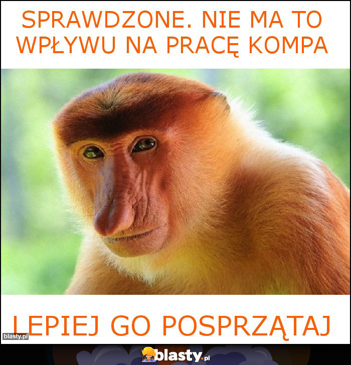 Sprawdzone. Nie ma to wpływu na pracę kompa