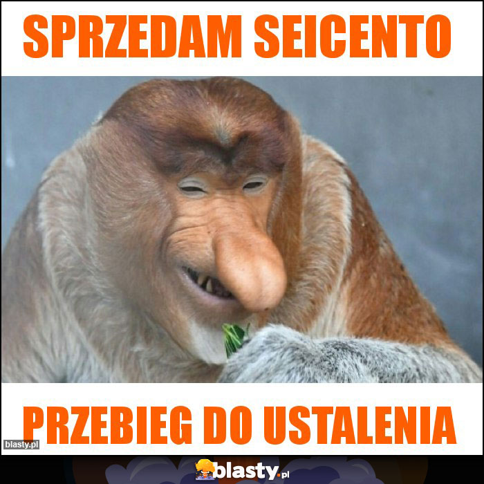 SPRZEDAM SEICENTO