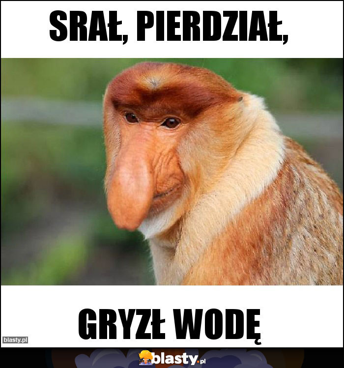 SRAŁ, PIERDZIAŁ,