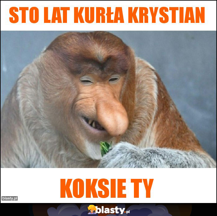 Sto lat kurła Krystian