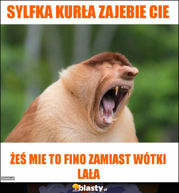 Sylfka kurła zajebie cie