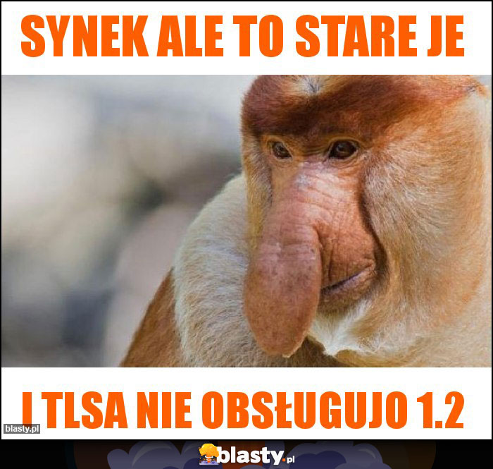 synek ale to stare je