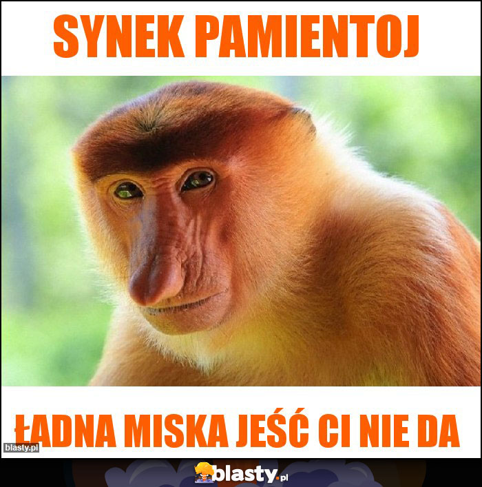 SYNEK PAMIENTOJ