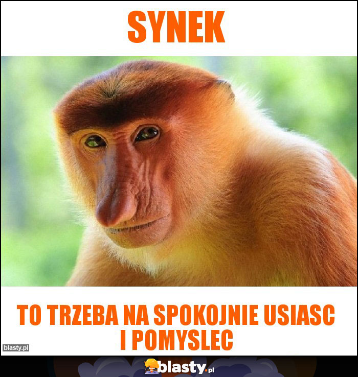 SYNEK