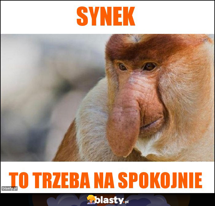 Synek