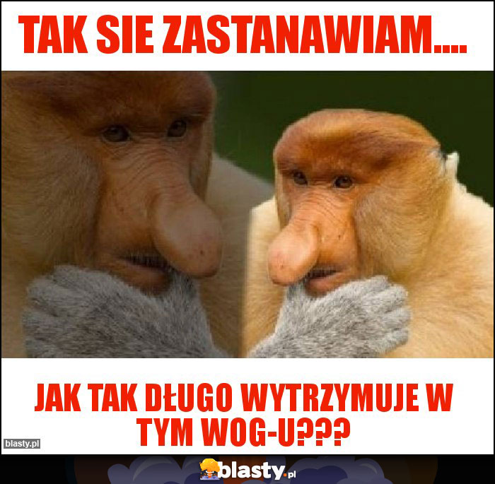 Tak sie zastanawiam....