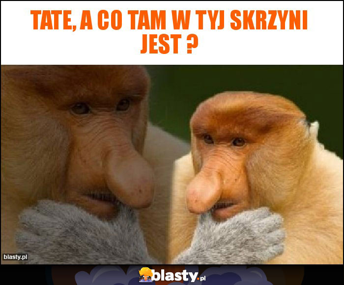 Tate, a co tam w tyj skrzyni jest ?