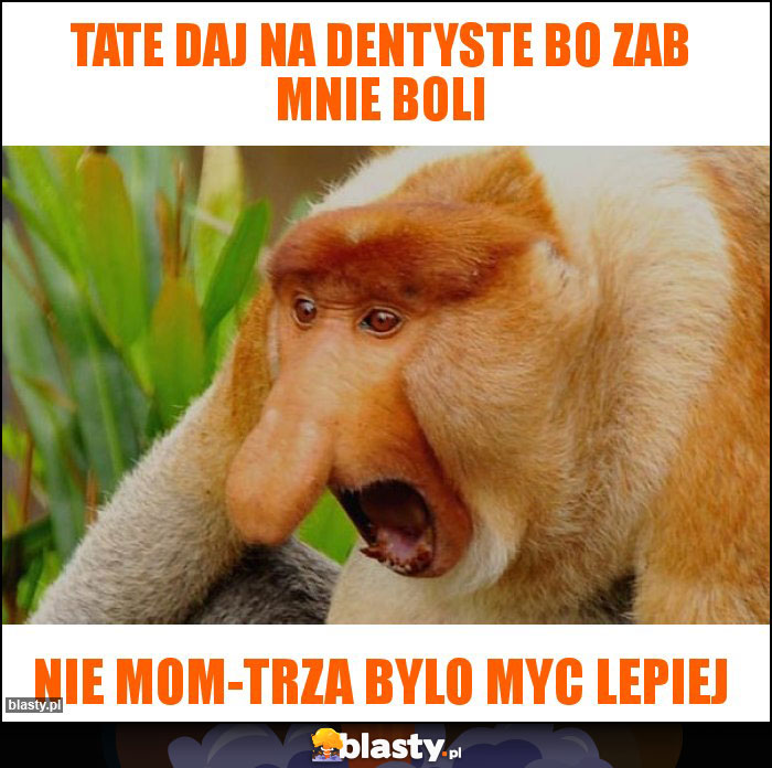 Tate daj na dentyste bo zab mnie boli