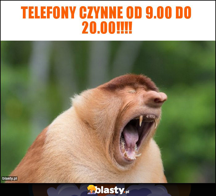 telefony czynne od 9.00 do 20.00!!!!