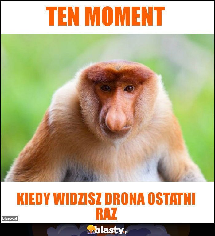 Ten moment